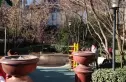 晶城秀府实景图