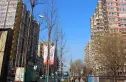 蜂鸟社区实景图