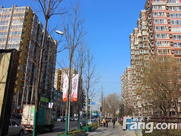 蜂鸟社区实景图