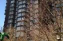 晶城秀府实景图