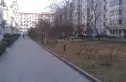 鸿运花园实景图