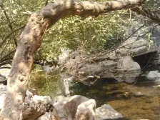 南户标间,采光好,楼层好,小区环境舒适