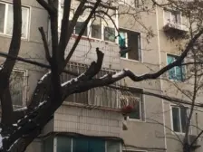 化物所家属近三十四初三无坡地段