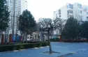 花家地西里二区实景图