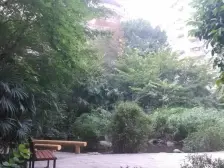 谢家湾 丽水菁苑三房130万