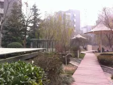 正商新蓝钻A区 4室1厅 南