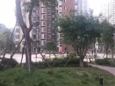 大鼎世纪滨江 2室2厅 南 北