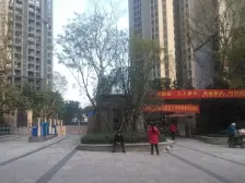 谢家湾 保利港湾国际四房138万