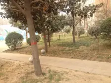 10号线地铁口 绿都城北区多层小两房 总价低 无贷款