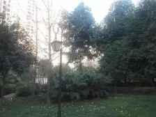 急急急,奥园正规大三房 户型方正朝南 业主诚心出售!