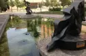 华亭嘉园实景图