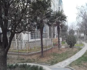 房子精装修双气1楼复式有花园采光好,使用面积大