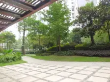 天合凯旋城 3室1厅 南