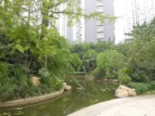 天合凯旋城 3室2厅 南