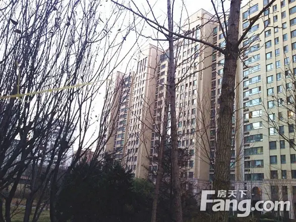 保利香槟花园实景图