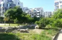 桃花岛实景图