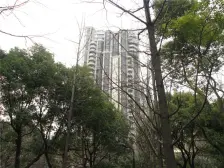 【华山路,欧式大平层】俯瞰衡复风貌区老洋房景观