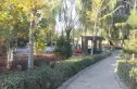 御墅临枫别墅实景图