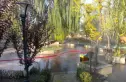 御墅临枫别墅实景图