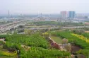 顺驰领海实景图