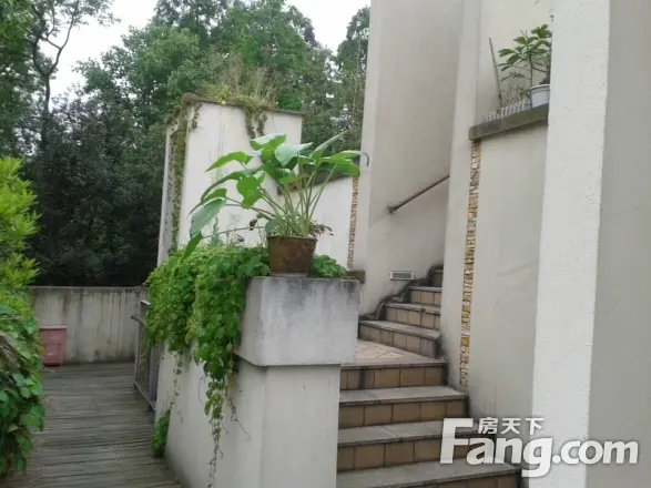 青城山房别墅实景图