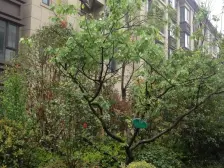 金山 中冶枫郡 2室2厅