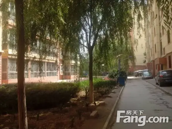 飞天家园B区实景图