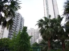 钥匙房!347号地铁D面!全南户型!双梯队(小中)