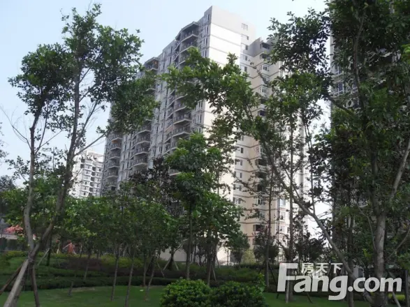 邦兴佳苑实景图