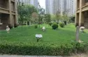 富力城实景图