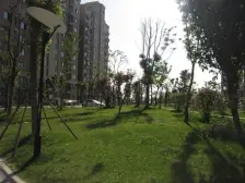 家具全送 采光好,无抵押 必看好房