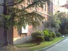 平南三四村 1室1厅 南