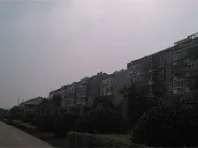 近中南 南通大学 植物园 中间好楼层 边户 全天采光