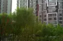 融域实景图