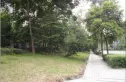 卓锦城五期实景图