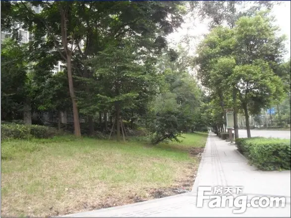 卓锦城五期实景图