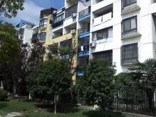 顾村公园 前排沿河 首付低 进D铁7H15H 华山医Y