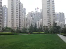 鸿运别墅 243平 电梯带车位 精装修 南北通透