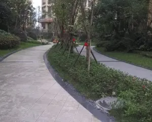 钱江美域 3室1厅 东南