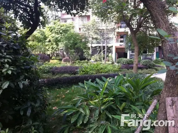 紫坪锦苑实景图