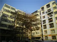 涧西区建设路 113平简装三室 配套齐全急售