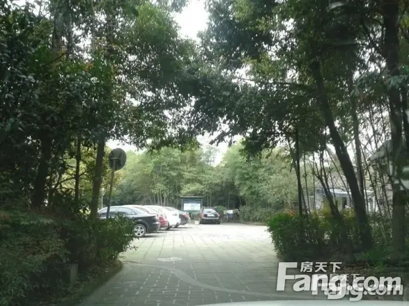 青城阳光实景图