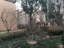 普罗电梯小高层 无抵押 带阁楼(有窗) 随时可看