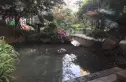 摩玛城实景图