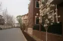 扬州水乡别墅实景图