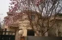 扬州水乡别墅实景图