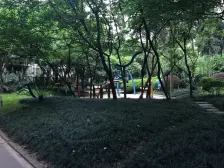 龙湖西苑 洋房 带露台带