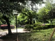 洋河片区 金地花园一房60万