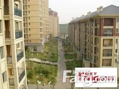 当代光谷智慧城实景图
