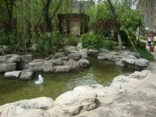 店长力荐 小区中间位置 前后观景 满五唯一 不常住 保持好